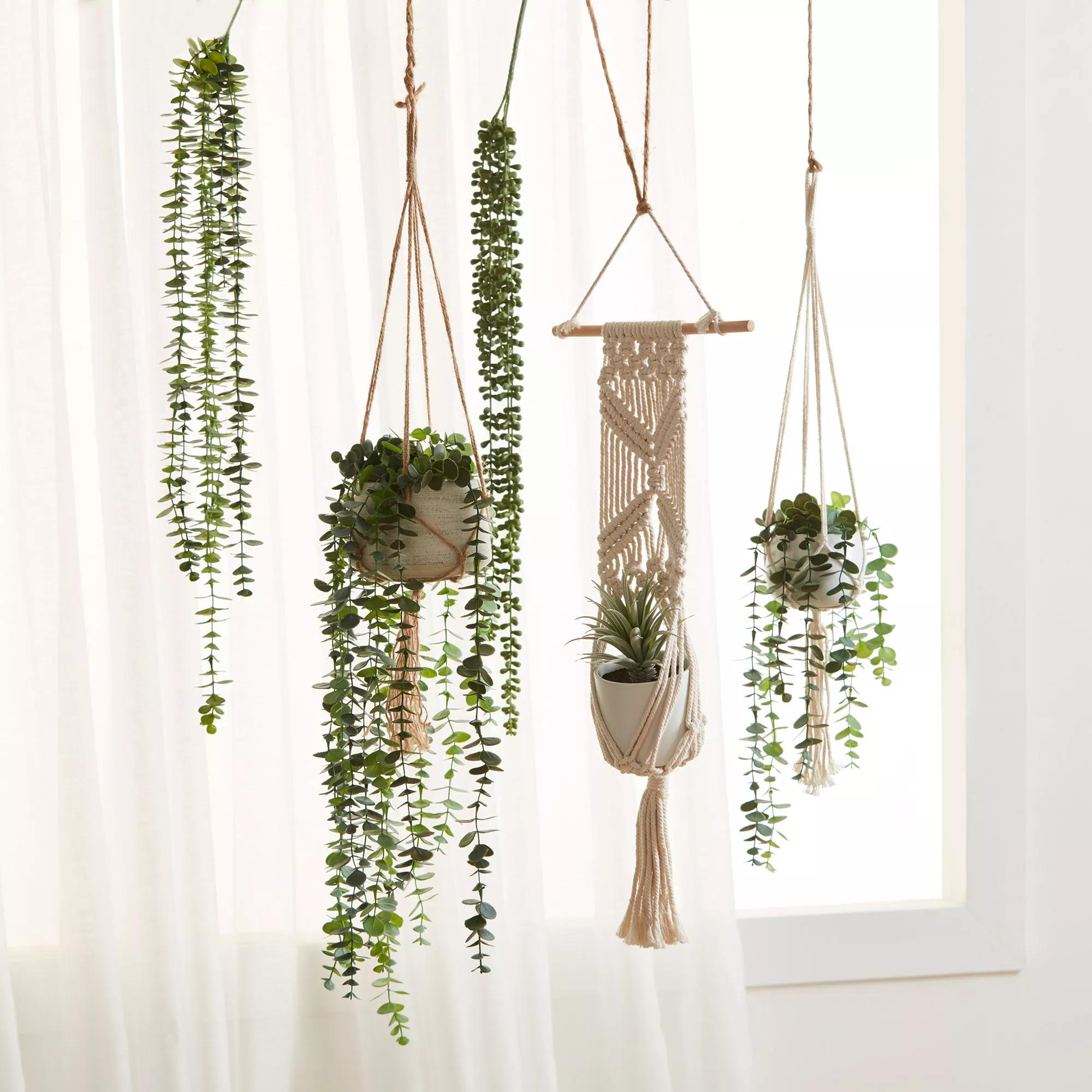 Macrame Potted Greenery