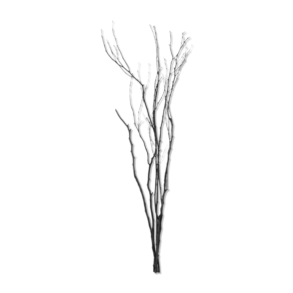 Branches
