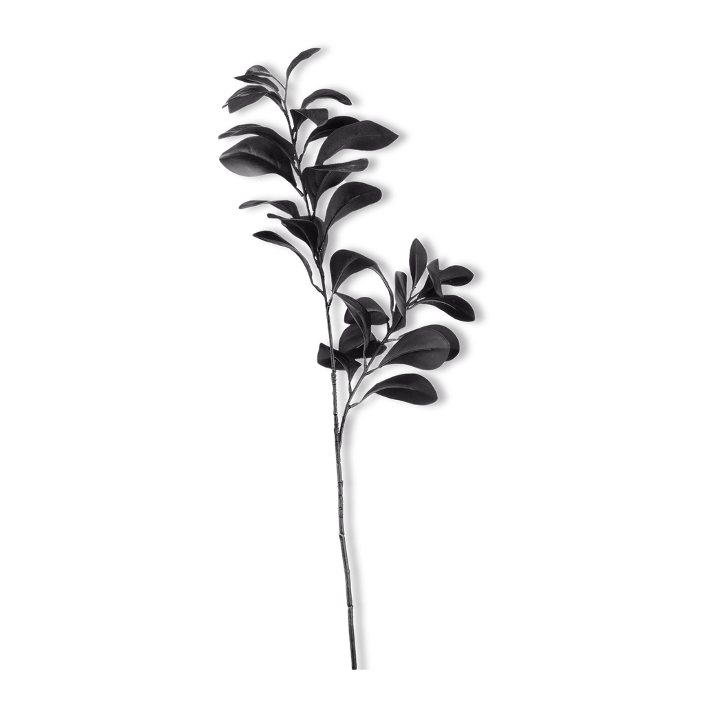 Black Leaves