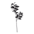 Black Leaves