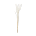 Bundle of Wheat