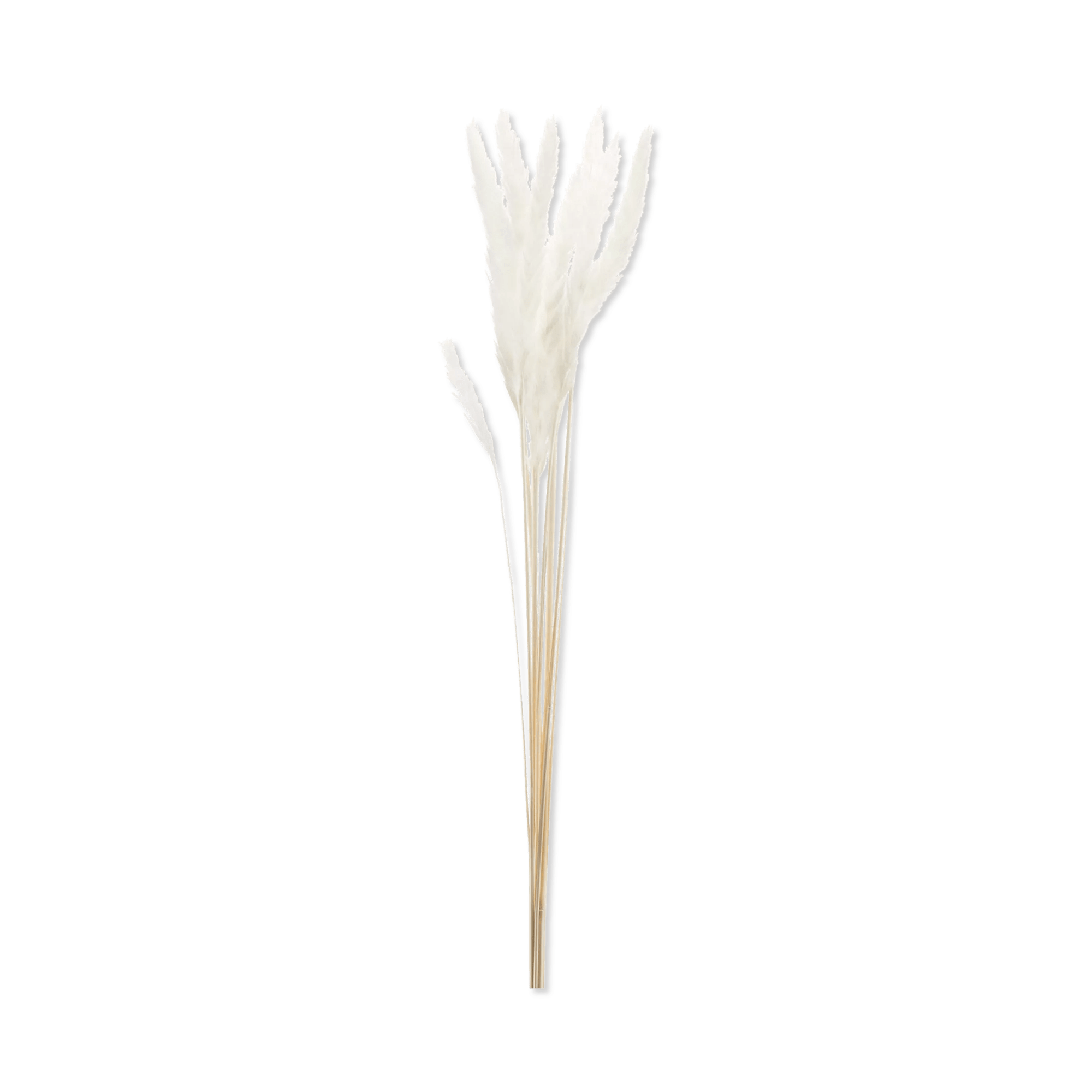 Bundle of Wheat