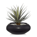 Ceramic Potted Greenery