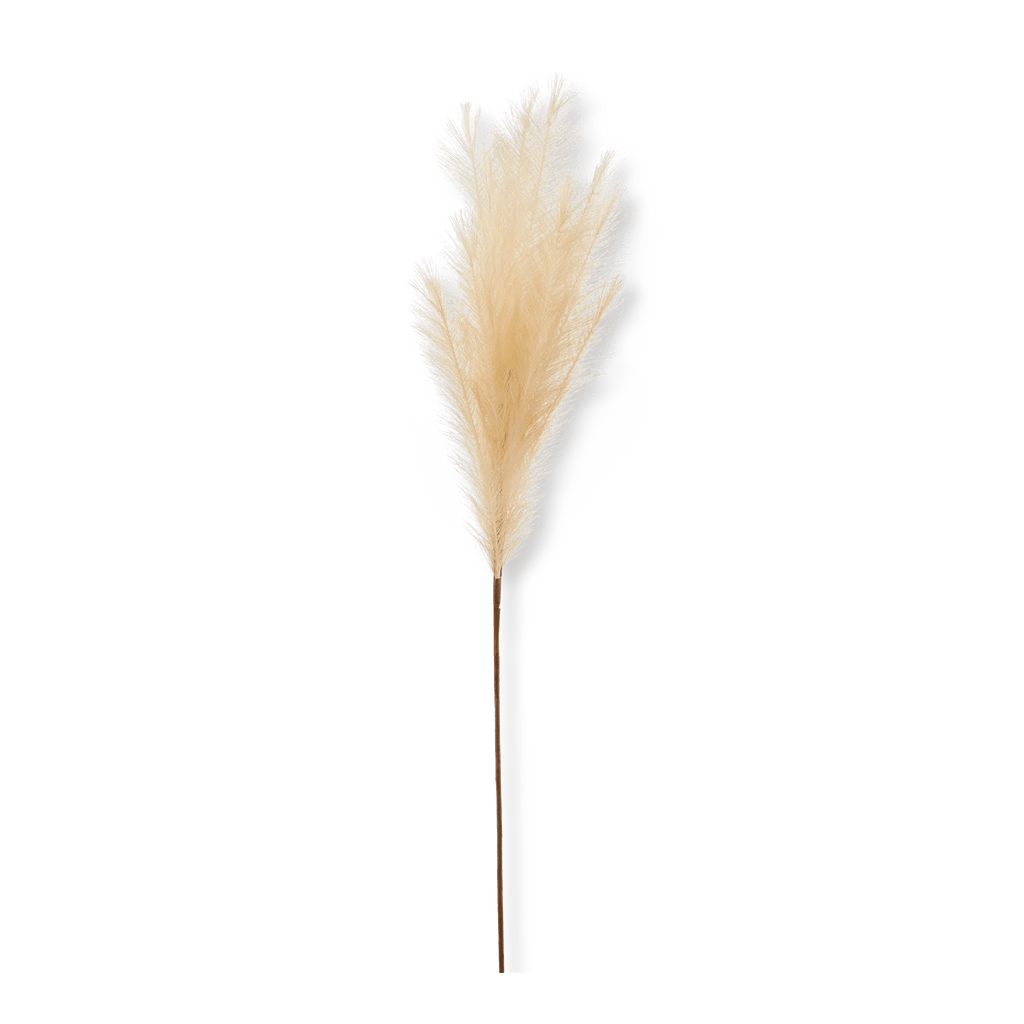 Pampas