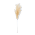 Pampas