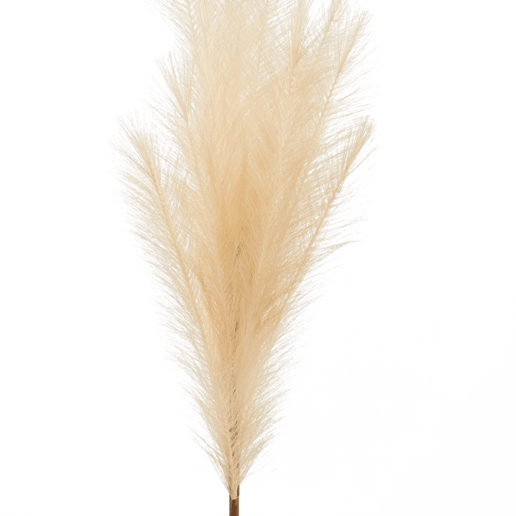 Pampas
