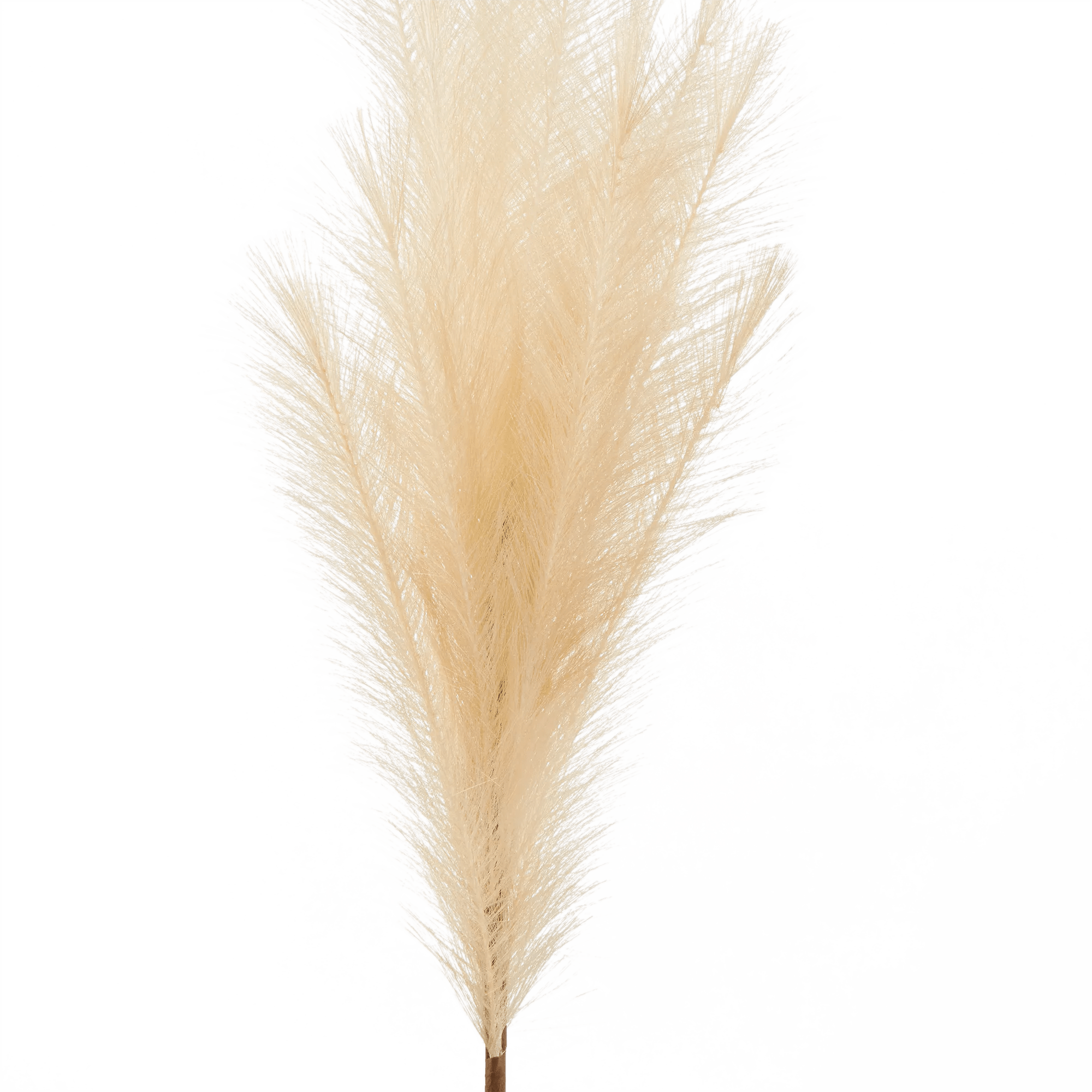 Pampas