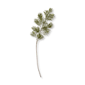 Artificial Leaves
