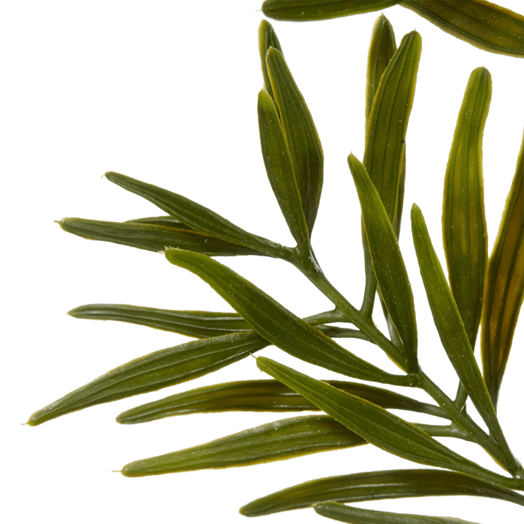 Artificial Leaves