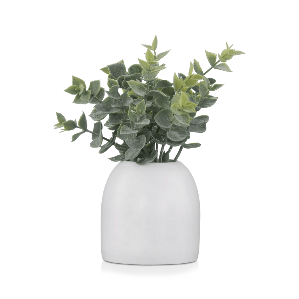 Artificial Eucalyptus in Ceramic Pot