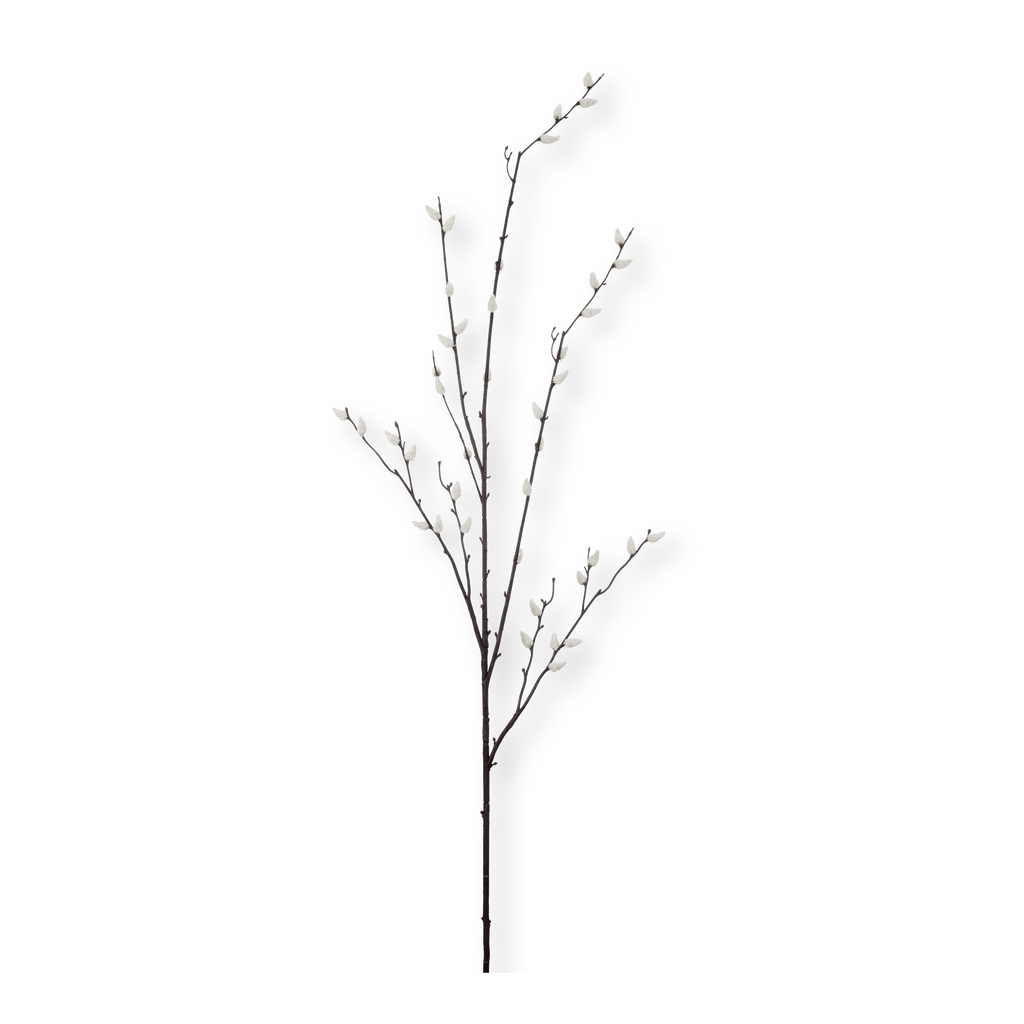 Pussy Willow Stem