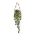 Hanging Leaves