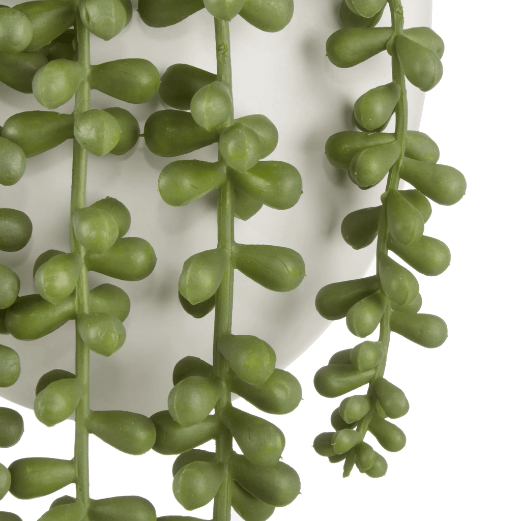Hanging Leaves