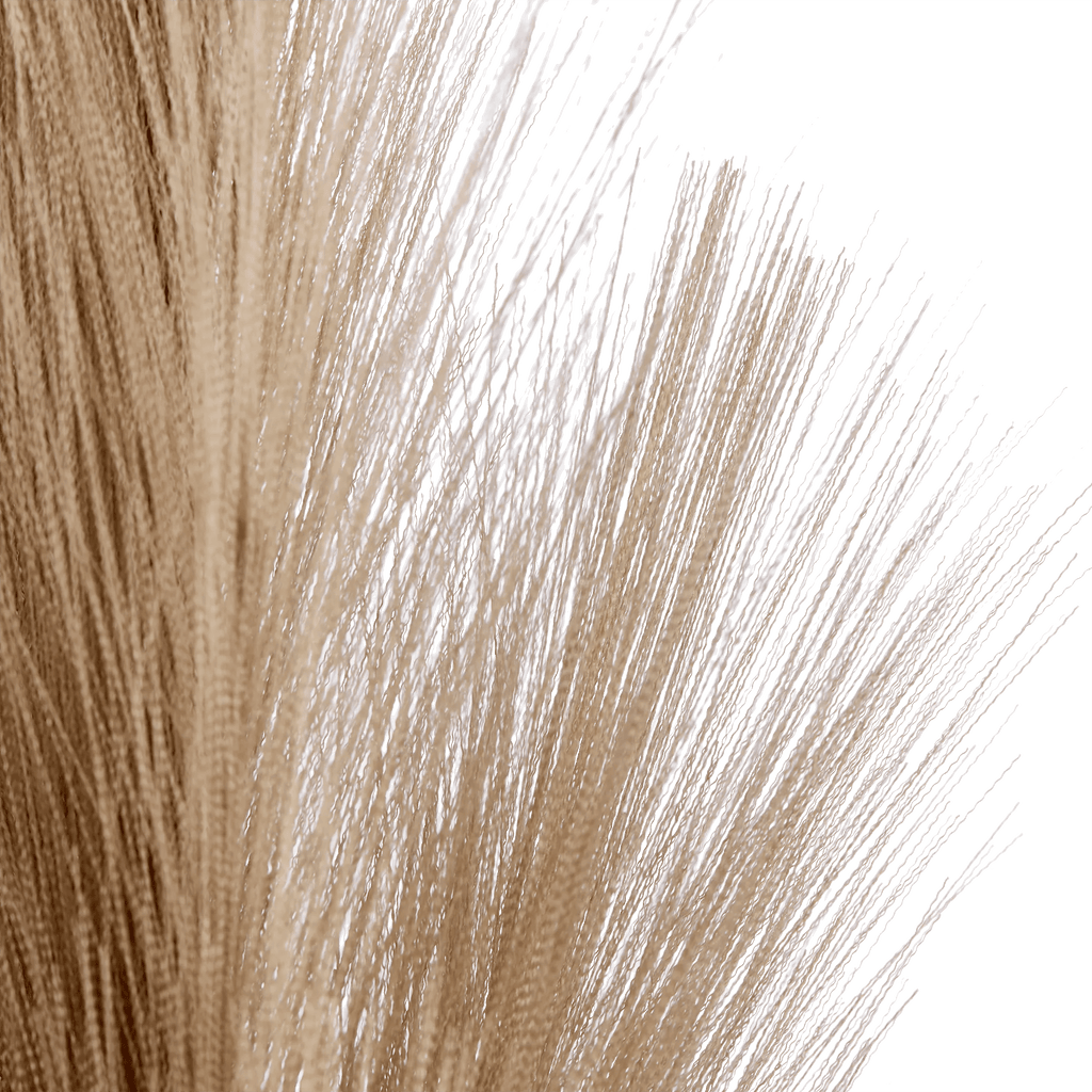 Pampas Stem