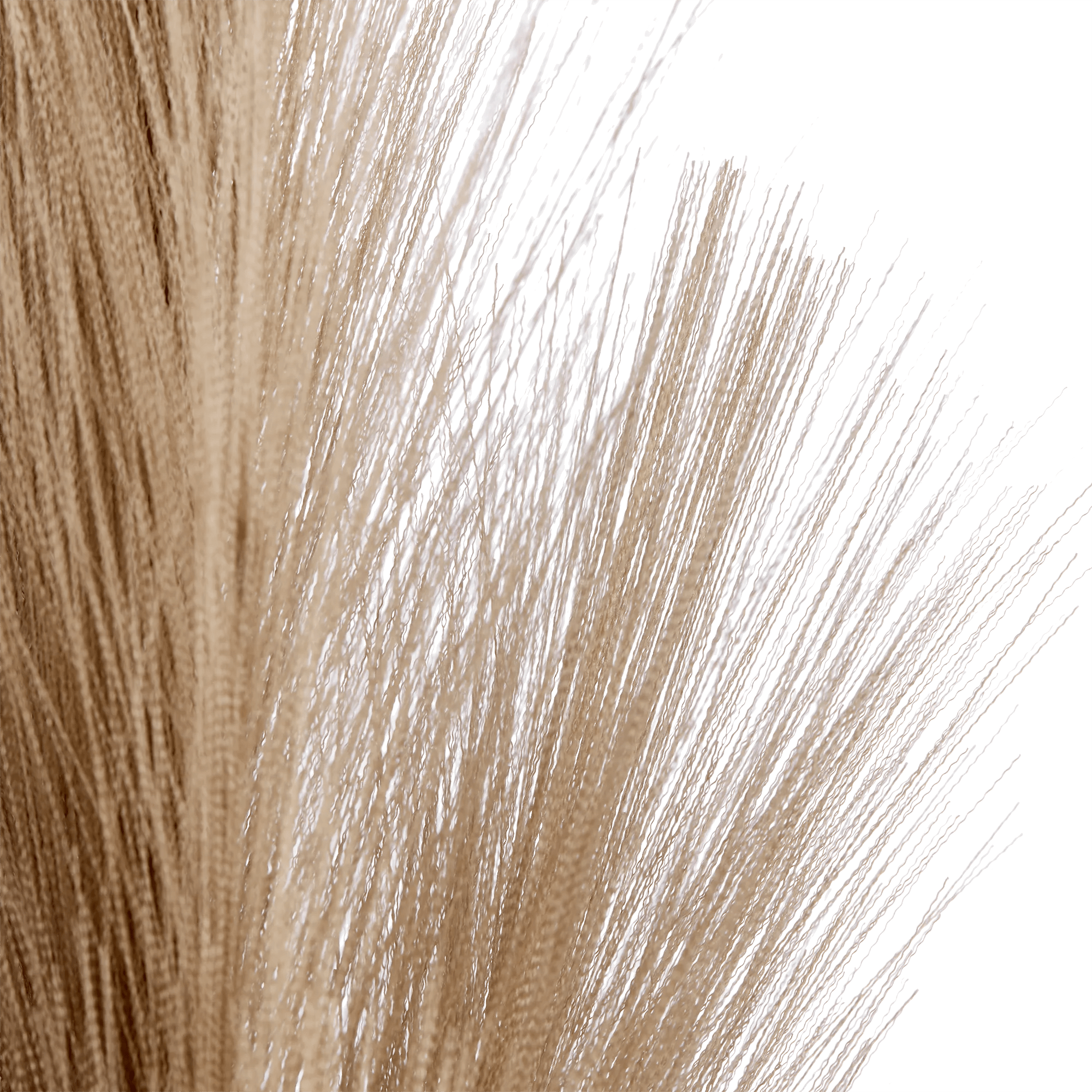 Pampas Stem
