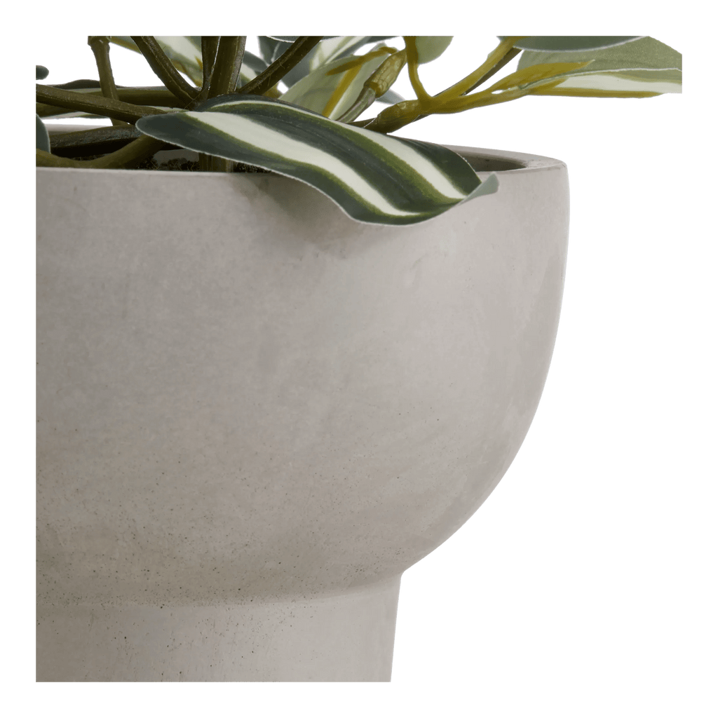 Potted Falling Leaves