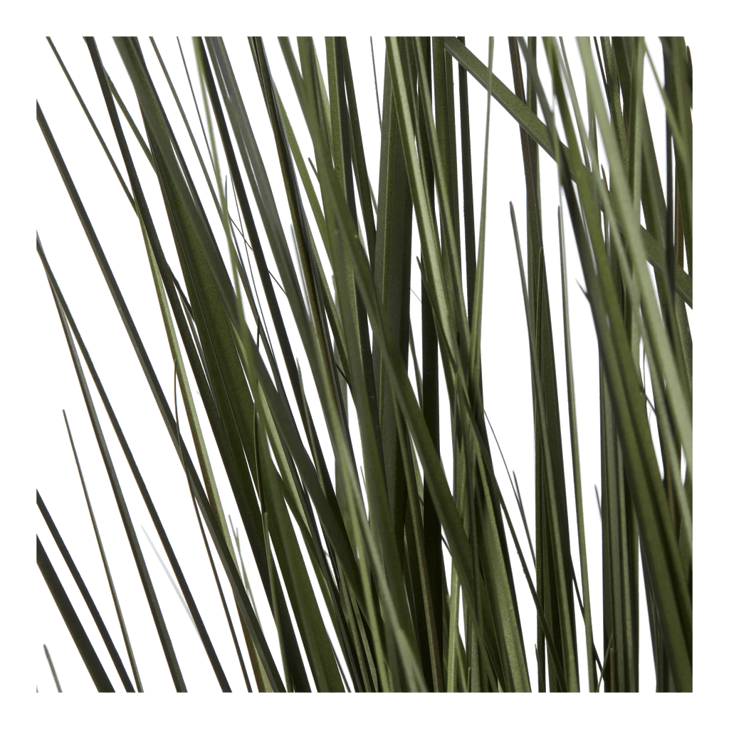 Artificial Grass in Black Ceramic Pot