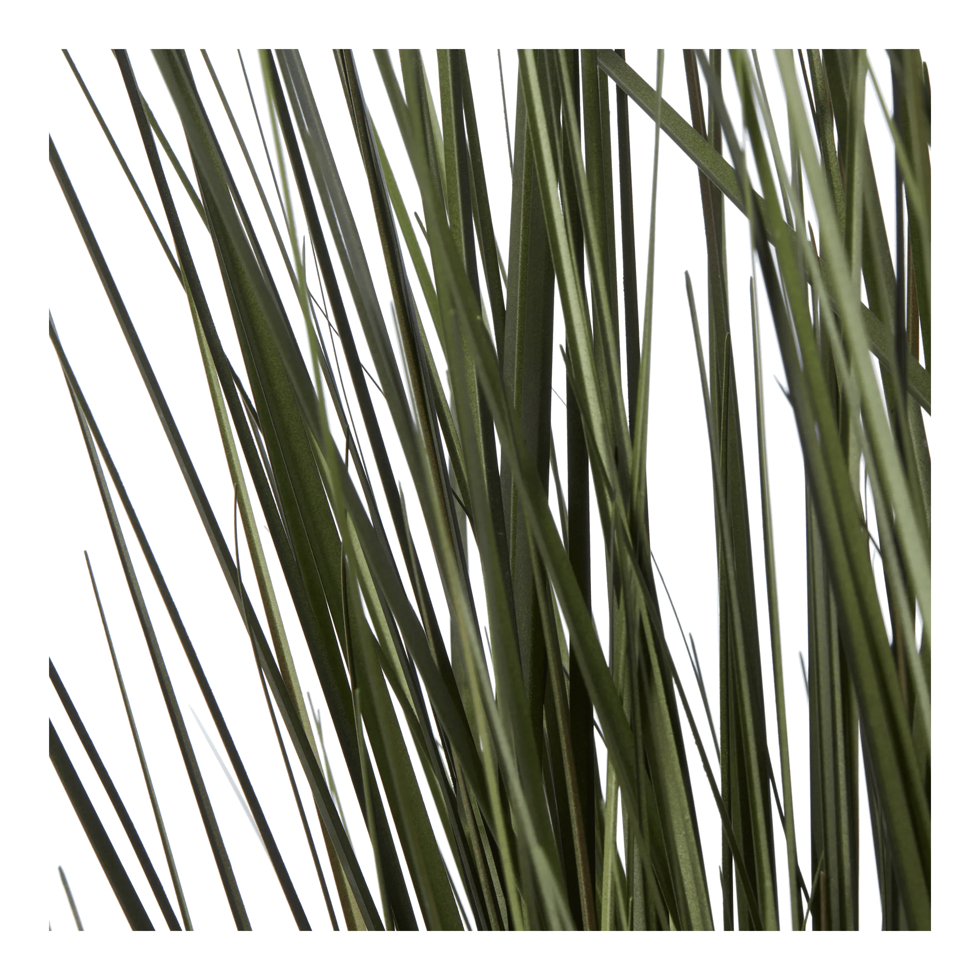 Artificial Grass in Black Ceramic Pot