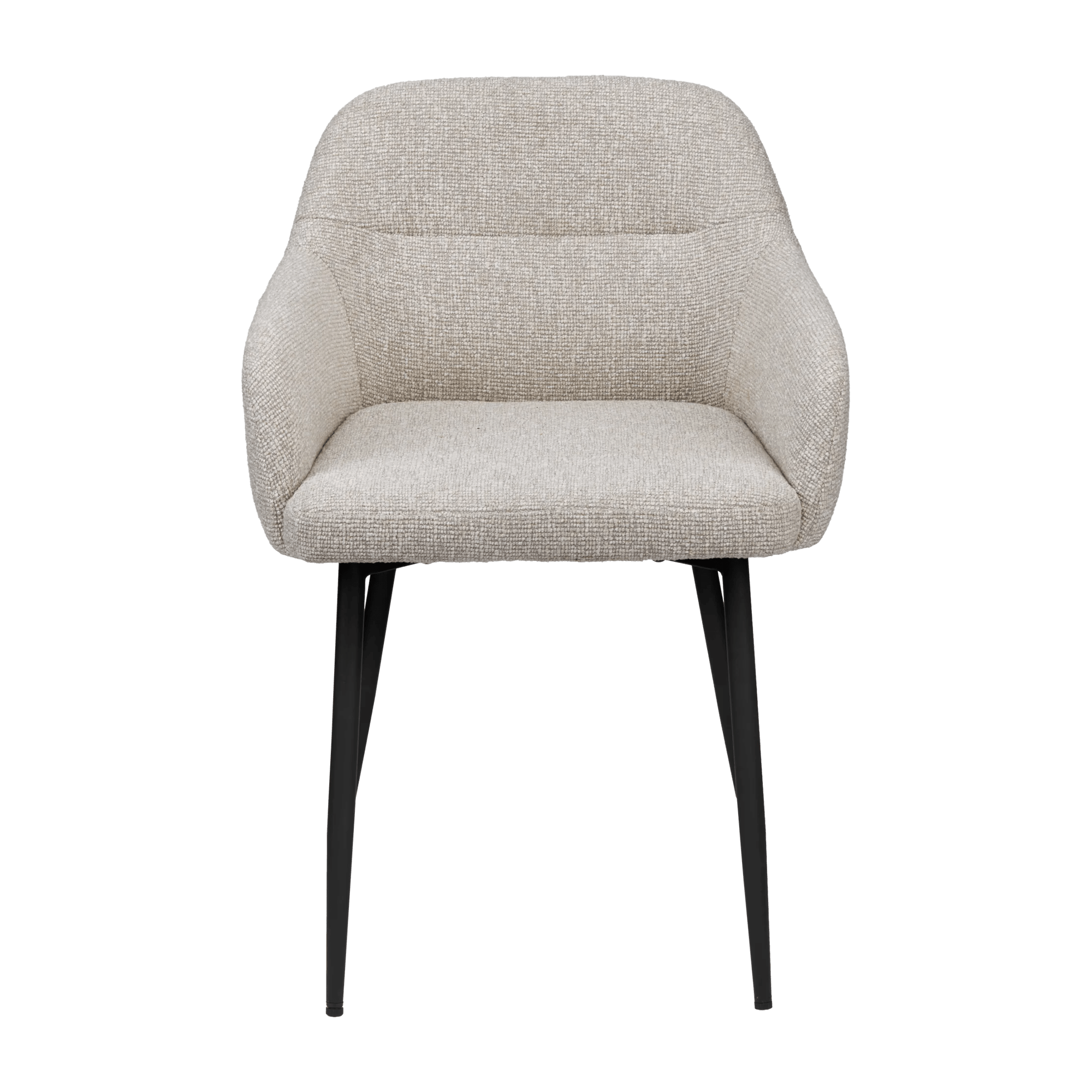 Modern Accent Chair with Arms