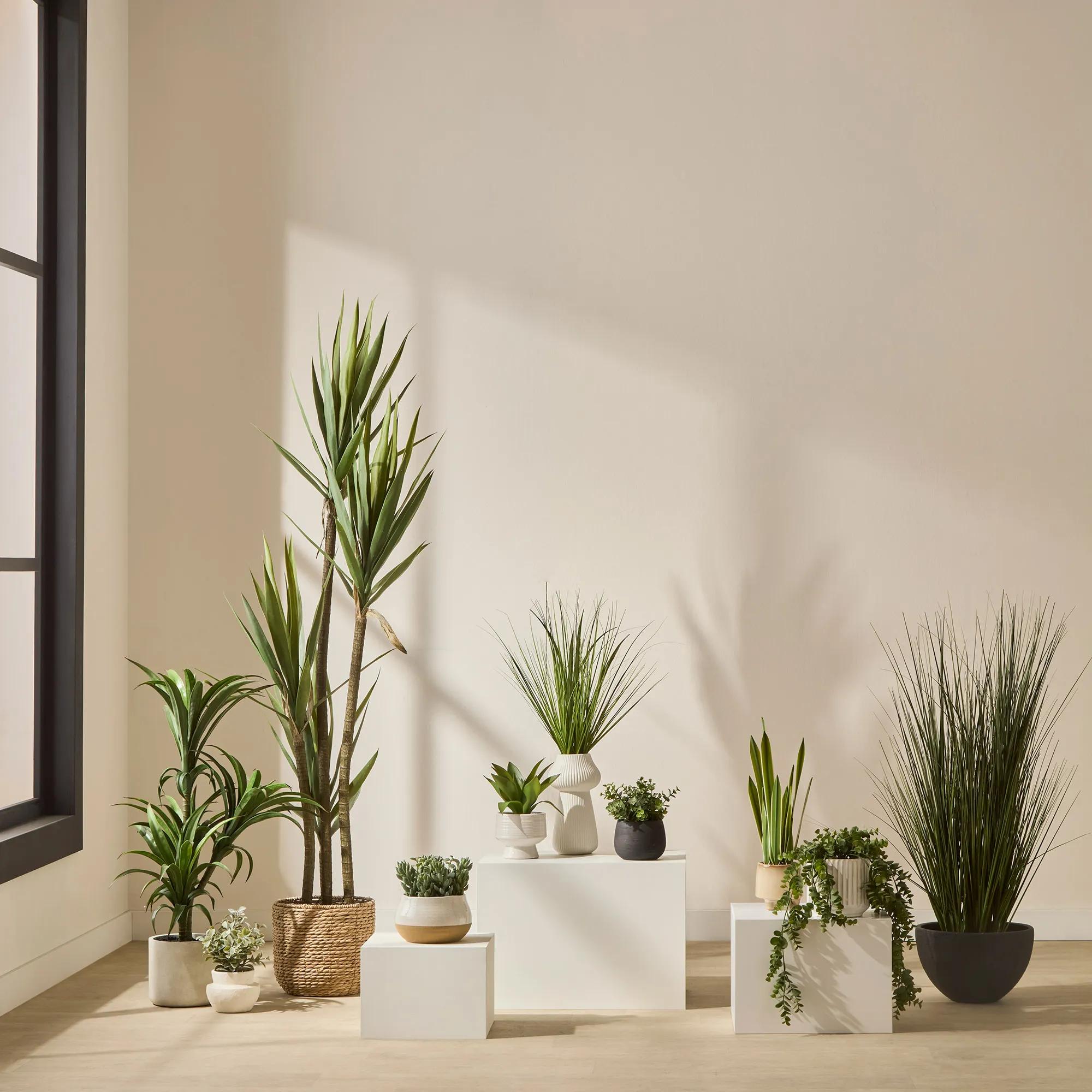 Artificial Grass in Black Ceramic Pot