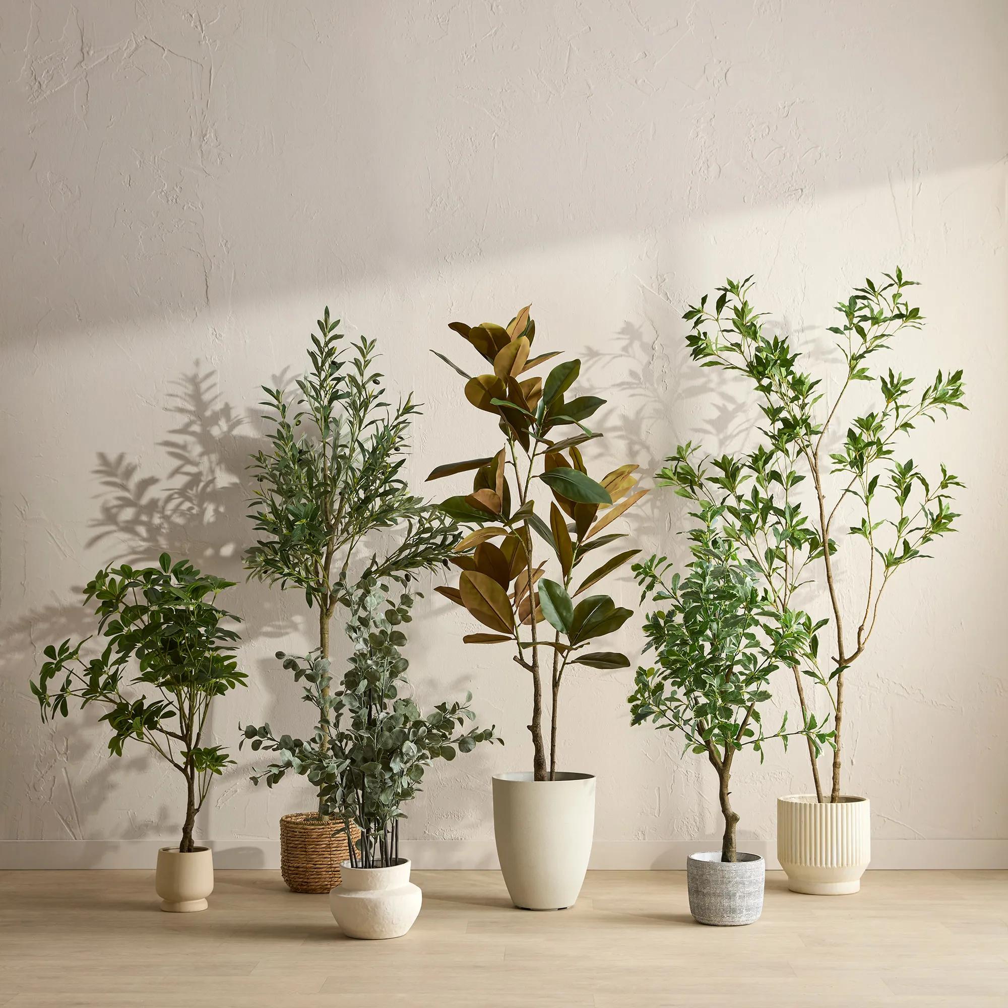Artificial Ficus Tree