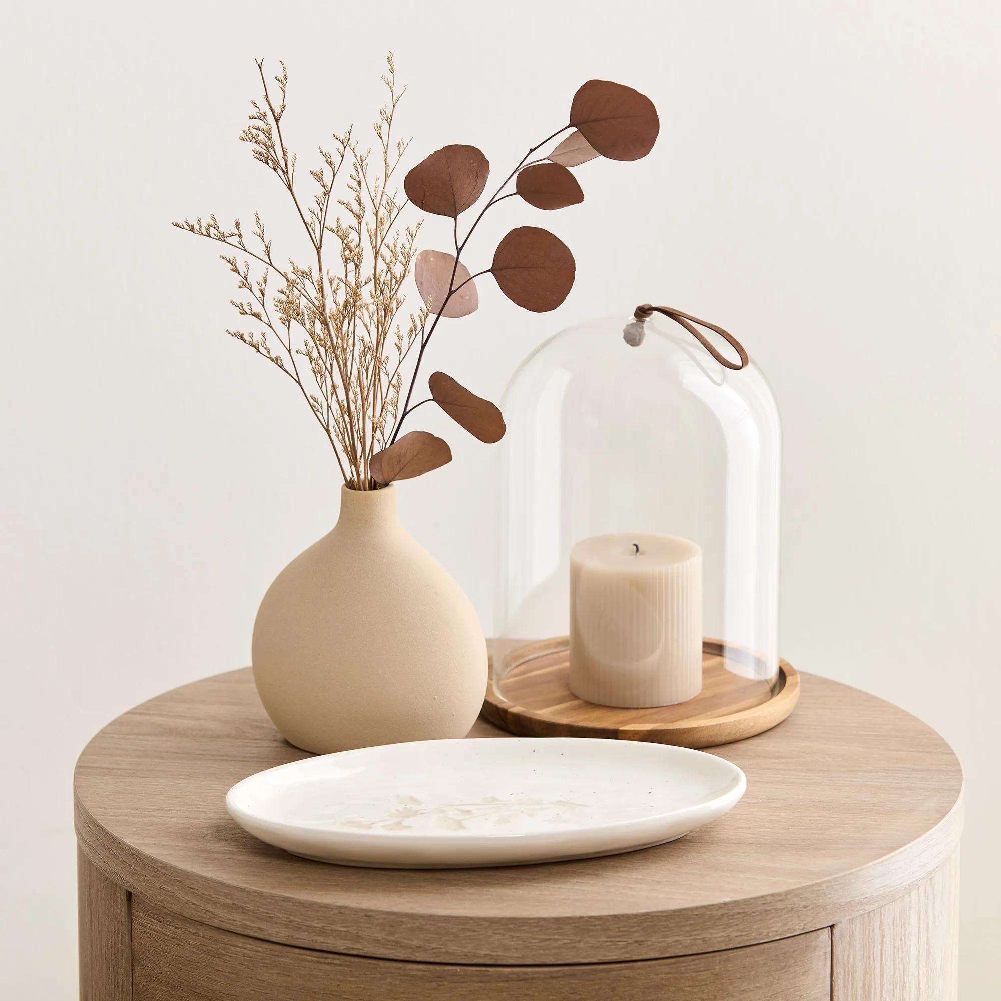 Dried Stem in a Vase